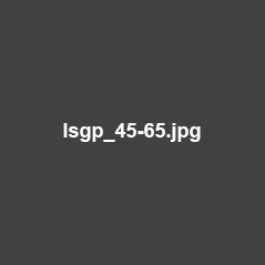 lsgp_45-65.jpg